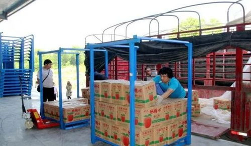 永州嘉信冷鏈倉儲物流中心正式開業，助推區域物流體系升級