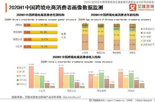 2020年上半年中國(guó)跨境電商行業(yè)用戶畫像與行為認(rèn)知調(diào)查分析報(bào)告